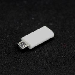 USB C to Micro USB Adapter