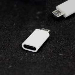 USB C to Micro USB Adapter