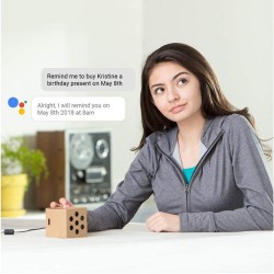 Google Aiy Voice Kit (Raspberry Pi not included)