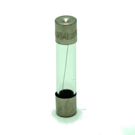 Fuse 6mm x 30mm 250V 10A Long Glass