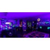 Blacklight Bulb 75 Watt