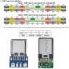 Male USB C Breakout Board