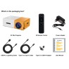 Pico Projector
