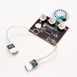 Greeting Card Sound Module