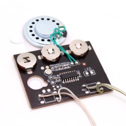 Greeting Card Sound Module