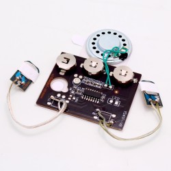 Greeting Card Sound Module