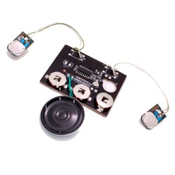 Greeting Card Sound Module