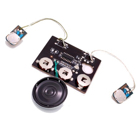 Greeting Card Sound Module