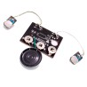 Greeting Card Sound Module