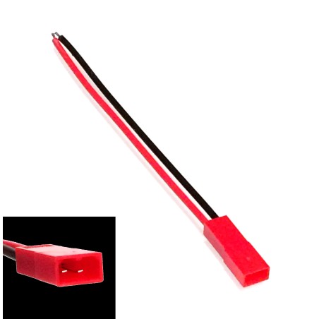 Female 2 Pin JST RCY Connector with Wires