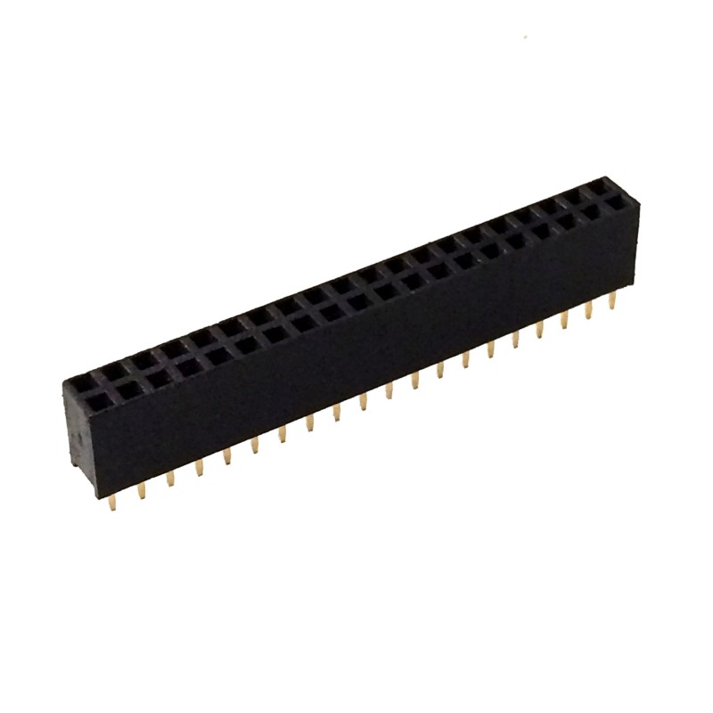2x20 40 Pin Female Header