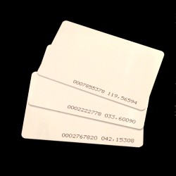 RFID Key Cards (3 pack)