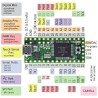 Teensy 3.1