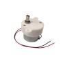 Low Speed DC Motor 12V / 21 RPM with Plastic Mount