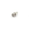 Male BNC to Male RCA Adapter