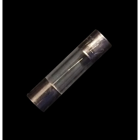 Fuse 5mm 250V 1A