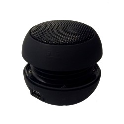 Powered Speaker with 1/8" Plug