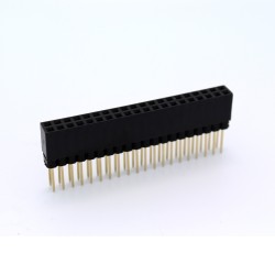 Extra Long 2x20 40 Pin Female Header