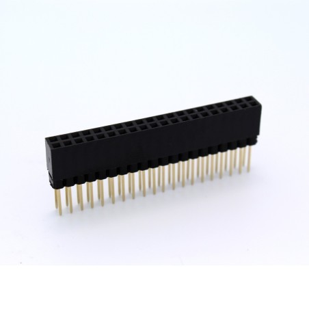 Extra Long 2x20 40 Pin Female Header