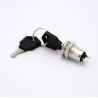 Panel Mount Key Switch with 2 Keys