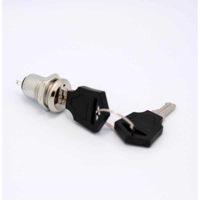 Panel Mount Key Switch with 2 Keys
