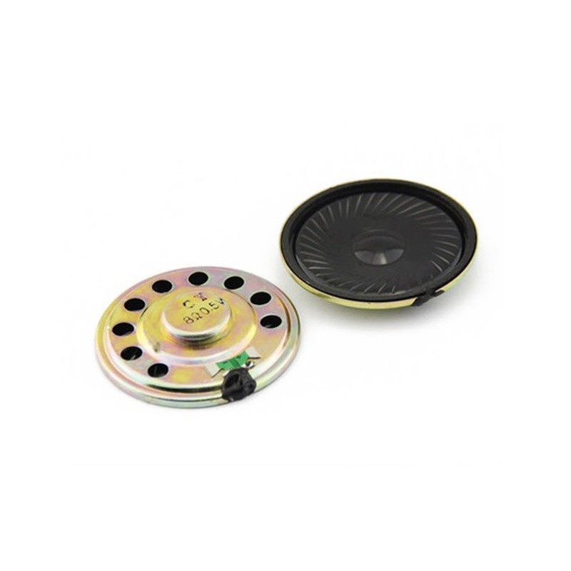 Large 8 Ohm Speaker - 1/4W