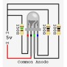 Jumbo RGB LED - 10mm Common Anode