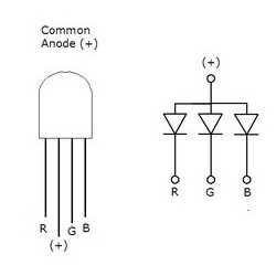 Jumbo RGB LED - 10mm Common Anode