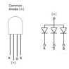 Jumbo RGB LED - 10mm Common Anode