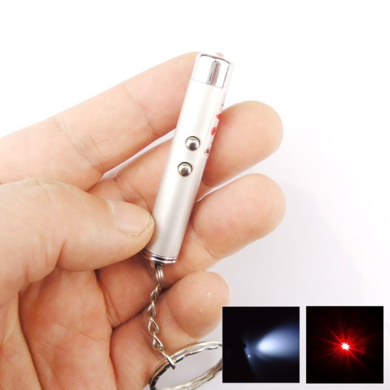 2 in 1 Laser Pointer + Flashlight