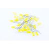 25 pack of 5mm LEDs (Standard Size)
