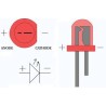 25 pack of 5mm LEDs (Standard Size)