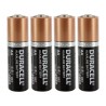AA Batteries (4 pack)