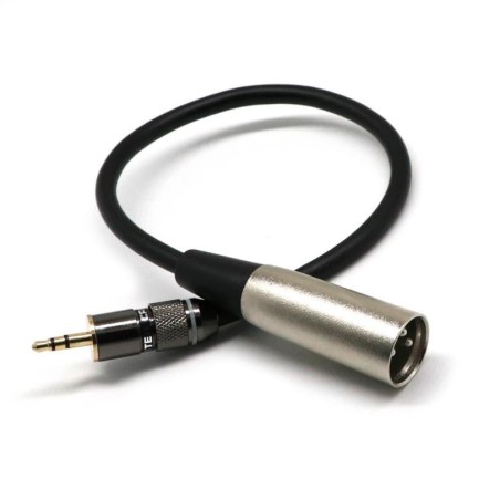 1/8" to XLR Adapter Cable