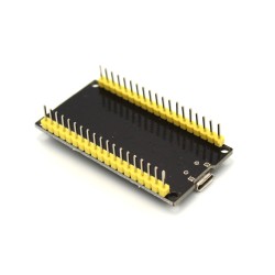 ESP32 Board 