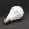 LED Light Bulb - Cool White 7 Watt