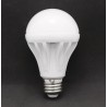 LED Light Bulb - Cool White 7 Watt