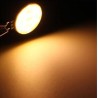 Warm White 4W COB LED