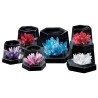 Crystal Growing Experiment Kit