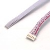 6 Pin JST PH Connector with wires