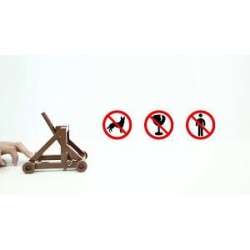Catapult Making Kit