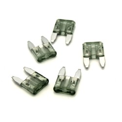 2 Amp Automotive Blade Fuses 5 Pack