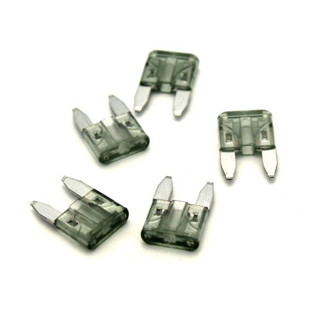 2 Amp Automotive Blade Fuses 5 Pack