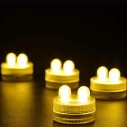 10pcs 2 LED Submersible Floralyte with Battery