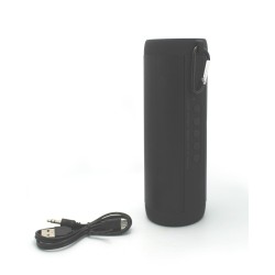Portable Bluetooth Speaker with Radio - Wireless - Black