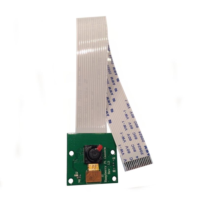 Raspberry Pi Camera Module