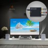 Optical to RCA Converter Box