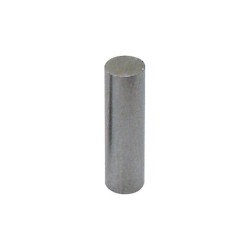 Magnet4 Cylinder 13/64" x 41/64"