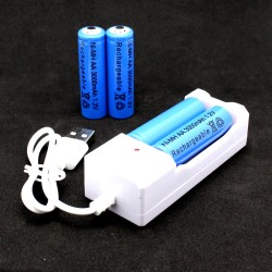 Rechargeable AA Batteries + Charger