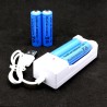 Rechargeable AA Batteries + Charger